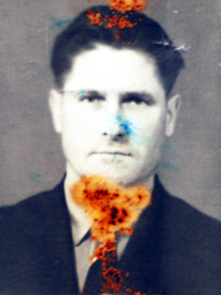 Шелегов Николай Николаевич